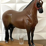 Cavalo Corote Mangalarga Marchador 2L